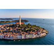 Studio apartment in Rovinj with Terrace, Air condition, WIFI, Washing machine (4686-5)