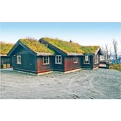Stunning home in Hemsedal with 4 Bedrooms, Sauna and WiFi