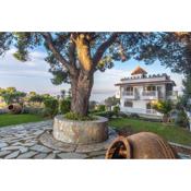 The Castle Panoramic Luxury Villa Evia