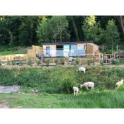 The Caswell bay hide out