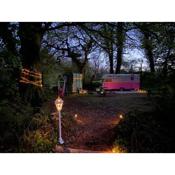 The Cwtch, totally unique glamping experience, rustic charm, private facilities, log burner, comfy bed, fire pit, hot shower, beautiful surroundings