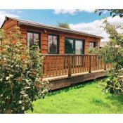 The Holford Arms Chalets and Glamping