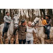Tmbin's barn - nature, horses, family
