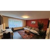 Two-Bedroom Apartment near Triberg Waterfall