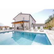 Villa Silver Novigrad with private pool