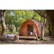 West Stow Pods in Bury St Edmunds