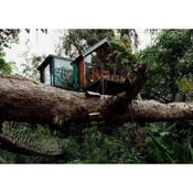 Wilderness Treehouse